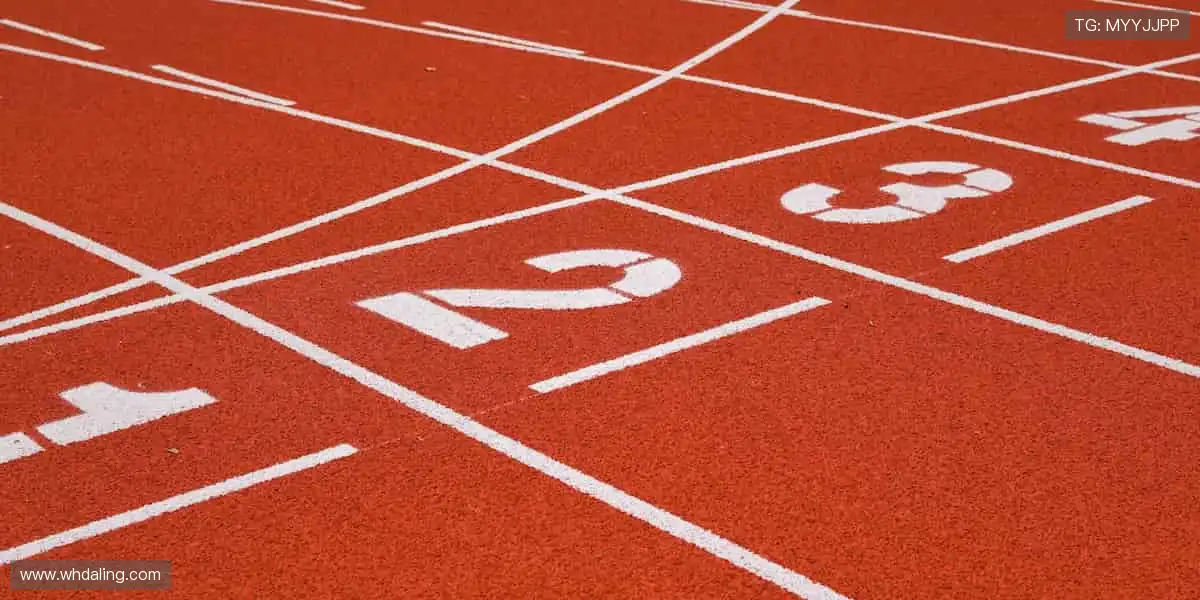 ⚽ 热血赛事,燃爆你的肾上腺素!